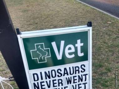 Dinozaury nigdy nie chodziły do weterynarza i widzisz jak skończyły