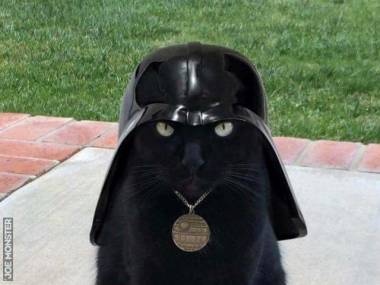 Cat Vader