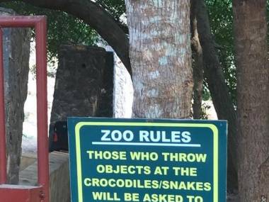 Reguły w zoo