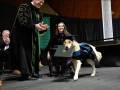 Pies asystujący otrzymał tytuł magistra na uniwersytecie Clarkson, po tym jak był na każdym wykładzie towarzysząc swojemu podopiecznemu