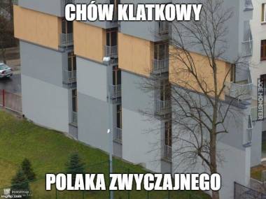 'Tak wyglądają nowe bloki, które deweloper postawił w Krakowie