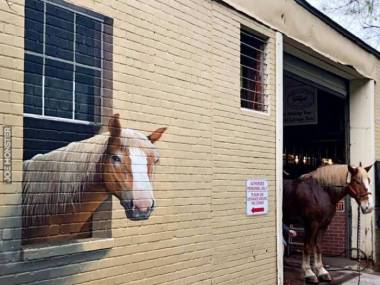 Koń jak malowany
