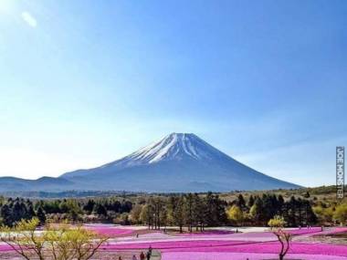 Piękno góry Fuji, Japonia