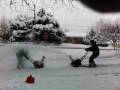Profesjonalna śnieżna bitwa