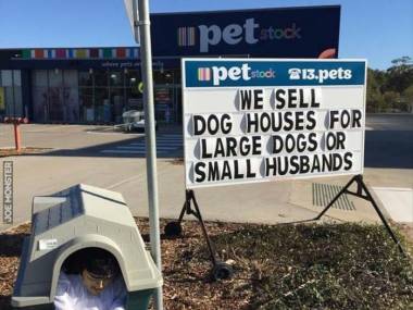 Sprzedajemy budy dla dużych psów lub małych mężów