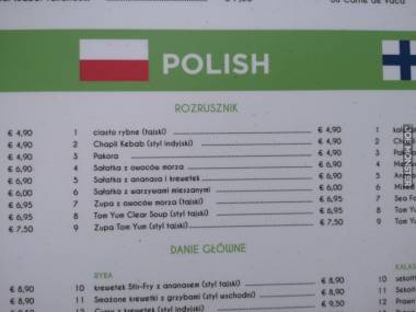 Polska język piękna język