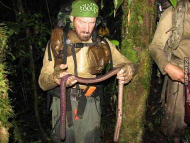 W amazońskiej dżungli odkryto nowy gatunek dżdżownicy dusiciela