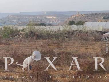Nowe logo Pixara