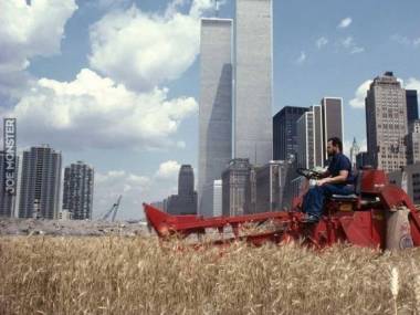 Pole pszenicy w sercu Manhattanu, 1982