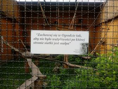 Przesłanie z zamojskiego zoo