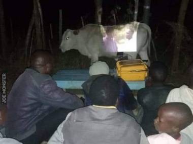 Kiedy chcecie na wsi obejrzeć film, ale nie macie ekranu