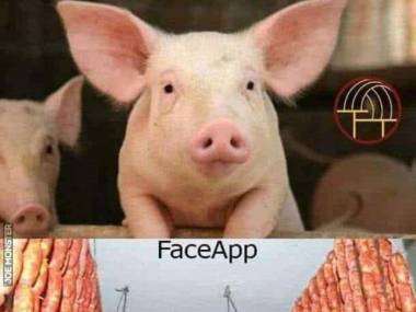 Świnka postarzona faceappem