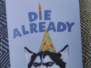 Moja 4-letnia siostrzenica nie potrafi czytać i kupiła mi kartkę urodzinową, ponieważ był na niej "uroczy pies w czapeczce"