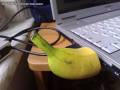 Banan USB